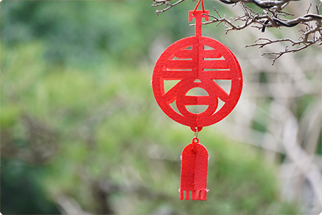 祝您春節(jié)快樂，萬事如意，闔家歡樂！